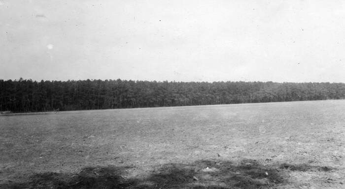 Pine forest and garden, eastern shore, Virginia. 1920.