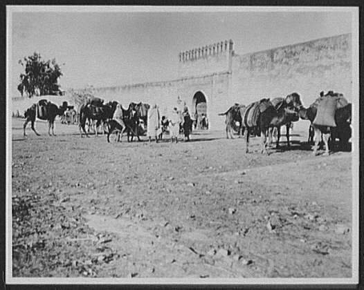 00005-Tunis---Bab-el-allouch--the-Susa-Gate.jpg