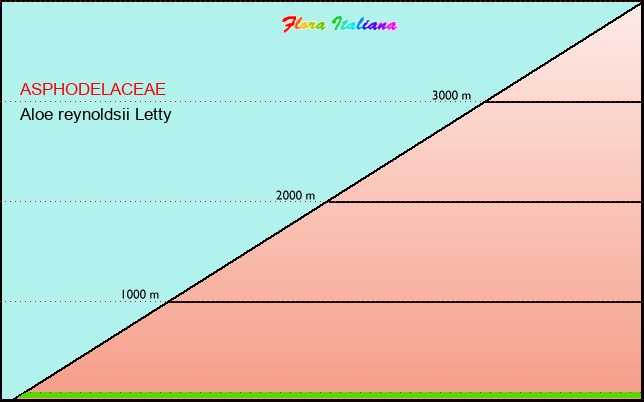 Altitudine - Elevation - Aloe reynoldsii Letty