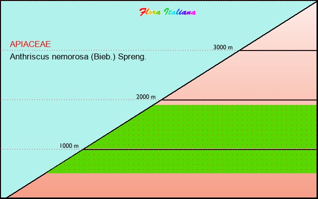 Altitudine - Elevation - Anthriscus nemorosa (Bieb.) Spreng.