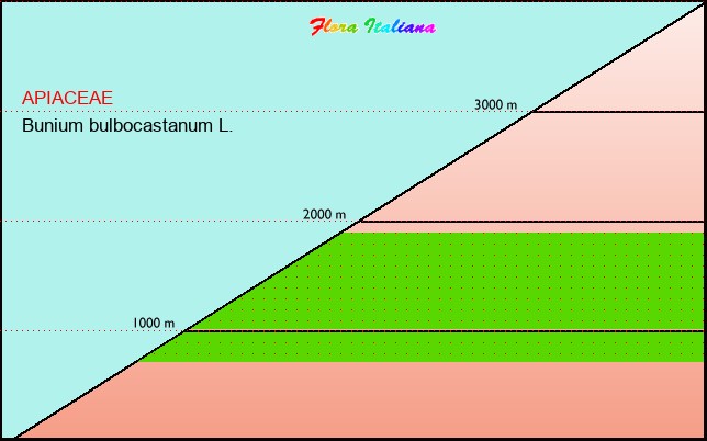 Altitudine - Elevation - Bunium bulbocastanum L.