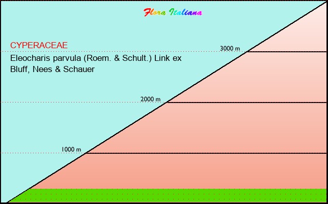 Altitudine - Elevation - Eleocharis parvula (Roem. & Schult.) Link ex Bluff, Nees & Schauer