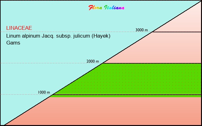 Altitudine - Elevation - Linum alpinum Jacq. subsp. julicum (Hayek) Gams