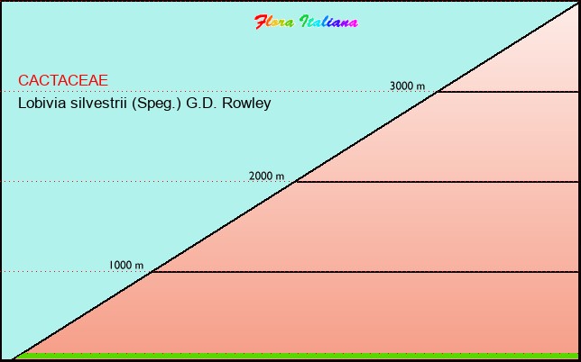 Altitudine - Elevation - Lobivia silvestrii (Speg.) G.D. Rowley