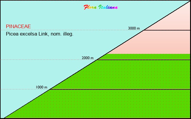 Altitudine - Elevation - Picea excelsa Link, nom. illeg.