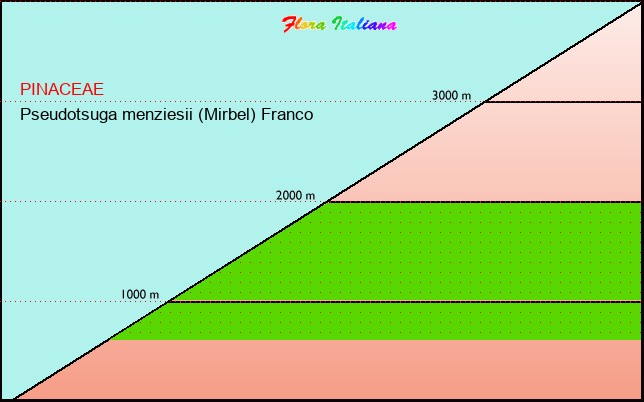 Altitudine - Elevation - Pseudotsuga menziesii (Mirbel) Franco