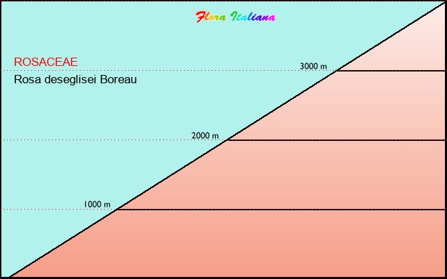 Altitudine - Elevation - Rosa deseglisei Boreau