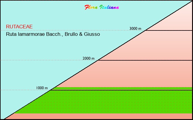 Altitudine - Elevation - Ruta lamarmorae Bacch., Brullo & Giusso