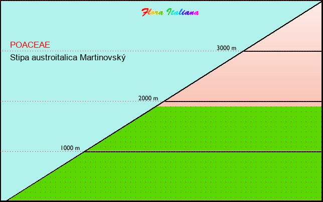 Altitudine - Elevation - Stipa austroitalica MartinovskÃ½