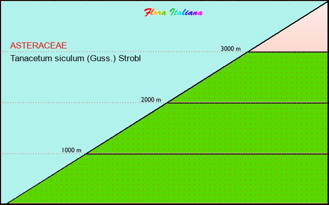 Altitudine - Elevation - Tanacetum siculum (Guss.) Strobl
