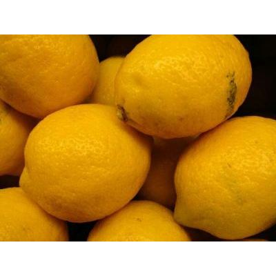 Citrus limon (L.) Burm.f. 