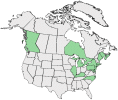 Distributional map for Acer pseudoplatanus L.