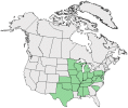 Distributional map for Gerardia auriculata Michx.