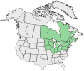 Distributional map for Agalinis paupercula (A. Gray) Britton var. borealis Pennell