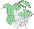 Distributional map for Antennaria leontopodioides Cody