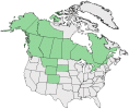 Distributional map for Astragalus americanus (Hook.) M.E. Jones