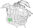 Distributional map for Astragalus beckwithii Torr. & A. Gray var. purpureus M.E. Jones