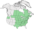Distributional map for Asclepias syriaca L.