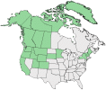 Distributional map for Betula nana L.