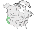 Distributional map for Micropus californicus Fisch. & C.A. Mey.