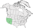 Distributional map for Oenothera brevipes A. Gray ssp. pallidula (Munz) P.H. Raven