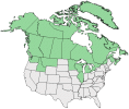 Distributional map for Carex rostrata Stokes