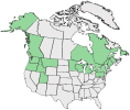 Distributional map for Centaurea montana L.