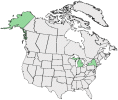 Distributional map for Chenopodium aristatum L.