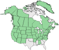 Distributional map for Carduus arvensis (L.) Robson