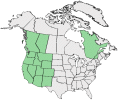 Distributional map for Carduus coloradensis Rydb.
