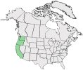 Distributional map for Clarkia gracilis (Piper) A. Nelson & J.F. Macbr. ssp. gracilis
