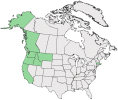 Distributional map for Claytonia sibirica L.