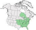 Distributional map for Corydalis flavula (Raf.) DC.