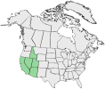 Distributional map for Cordylanthus parviflorus (Ferris) Wiggins