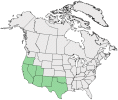Distributional map for Cressa truxillensis Kunth