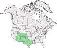 Distributional map for Cymopterus fendleri A. Gray