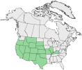 Distributional map for Elymus elymoides (Raf.) Swezey ssp. brevifolius (J.G. Sm.) Barkworth