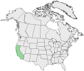 Distributional map for Fritillaria affinis (Schult.) Sealy var. tristulis (A.L. Grant) B. Ness