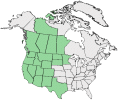 Distributional map for Gentiana forwoodii A. Gray