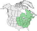 Distributional map for Melissa pulegioides (L.) L.