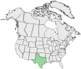Distributional map for Hieracium wrightii (A. Gray) B.L. Rob. & Greenm.