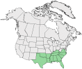 Distributional map for Hypericum apocynifolium Small