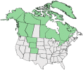 Distributional map for Juncus biglumis L.