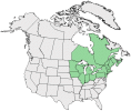 Distributional map for Juncus greenei Oakes & Tuck.