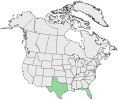 Distributional map for Kalanchoe verticillata Elliot