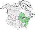 Distributional map for Lupinus perennis L. ssp. perennis