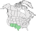 Distributional map for Machaeranthera pinnatifida (Hook.) Shinners ssp. pinnatifida var. chihuahuana B.L. Turner & R.L. Hartm.