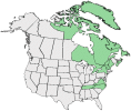Distributional map for Arenaria groenlandica (Retz.) Spreng.