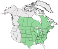 Distributional map for Washingtonia longistylis (Torr.) Britton