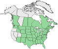 Distributional map for Oxalis stricta L.